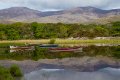 Cork_Kerry_2014 (29)